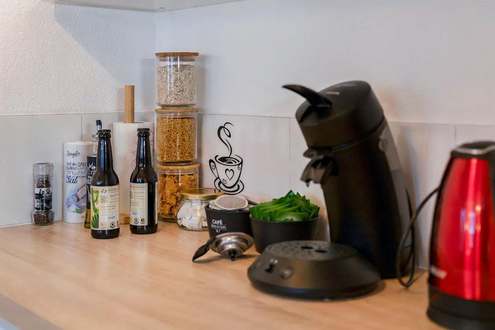 Superbe Appartement - Parking Gratuit - 4 Personnes Chambéry Dış mekan fotoğraf